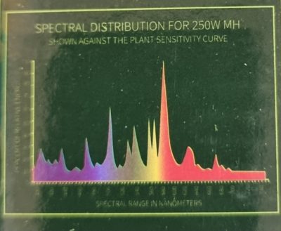 Metal Halide Lamp - Image 12