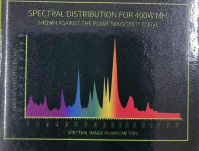 Metal Halide Lamp - Image 9