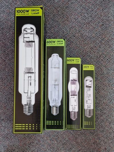 Metal Halide Lamp