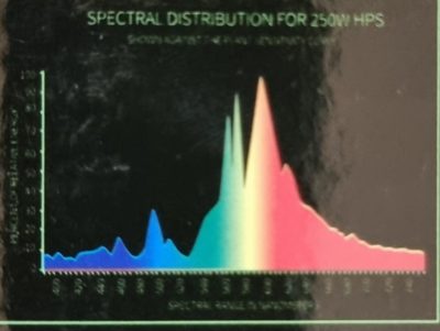 Super HPS Lamp - Image 10