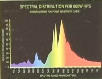 Super HPS Lamp - Image 3