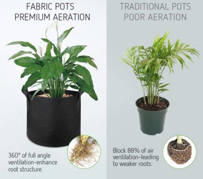 Fabric Grow Bags - Image 2