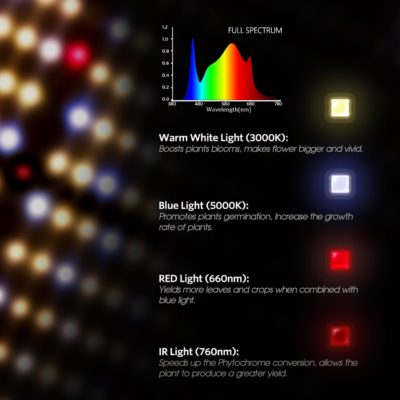 Spider Farmer SF4000 440w LM301B Led *** Free UVR40 - Image 4