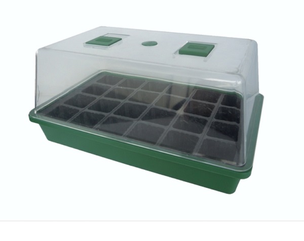 Small Propagator Dome