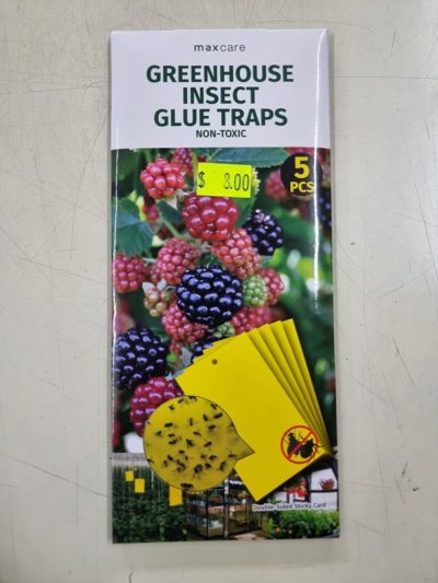 Insect Glue Traps