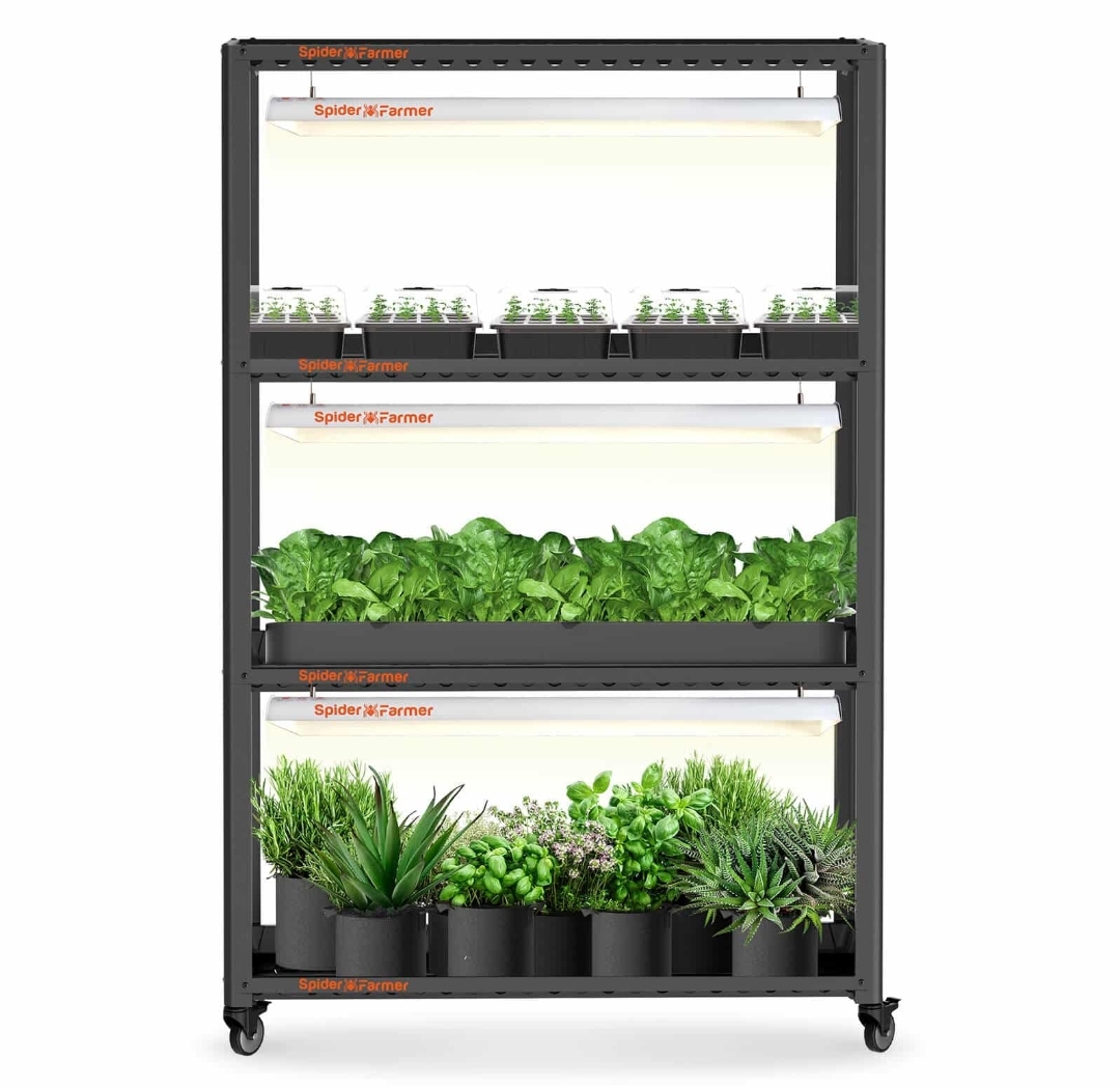 Spider Farmer 3x SF600 Growshelve Kit.