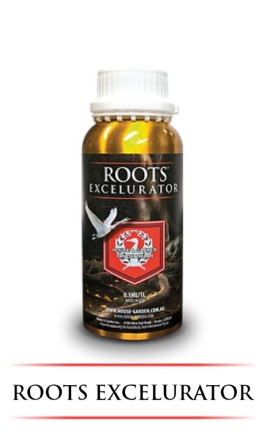 House & Garden Roots Excelurator