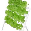 Hobby Hydroponics Kit