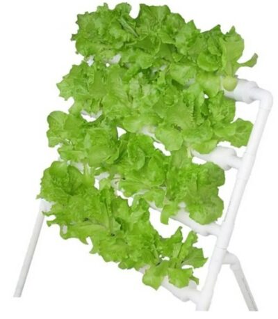 Hobby Hydroponics Kit