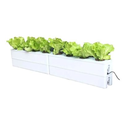 Home Hydroponic System