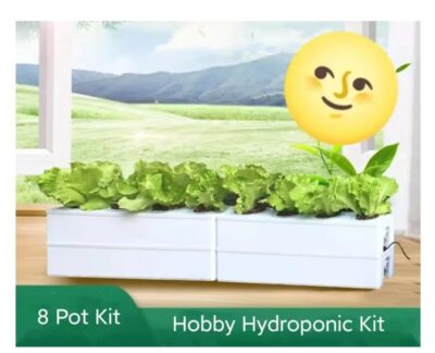 Home Hydroponic System - Image 4