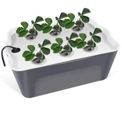 Small Hydroponic System