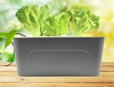 Small Hydroponic System - Image 4