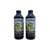 FloraMaX VegaFlora A+B 1L