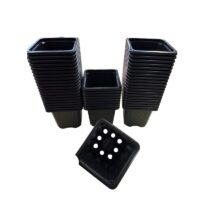 Square Plastic Seedling Pots 7cm X 7cm X 6.5cm Pack of 50