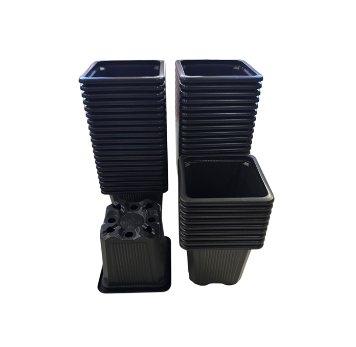 Square Plastic Seedling Pots 7cm X 7cm X 6.5cm Pack of 50 - Image 2