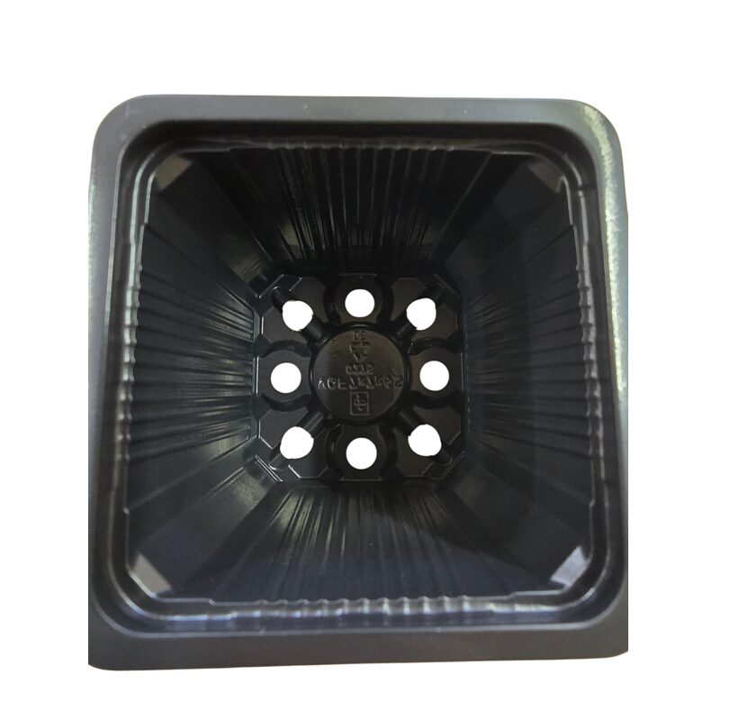 Square Plastic Seedling Pots 7cm X 7cm X 6.5cm Pack of 50 - Image 3